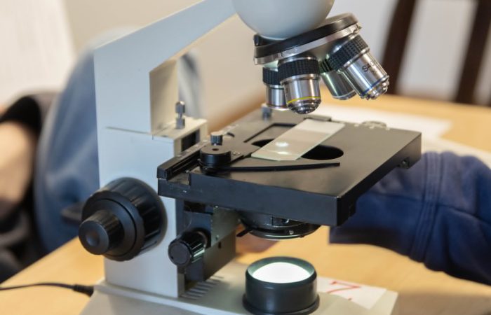 Festiwal Nauk Przyrodniczych – „Woda w świetle STEAM”